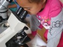 girl looking in microscope