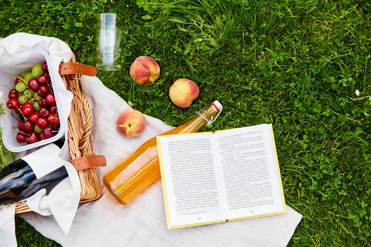 Summer picnic with peaches, book, wine and seasonal fruits