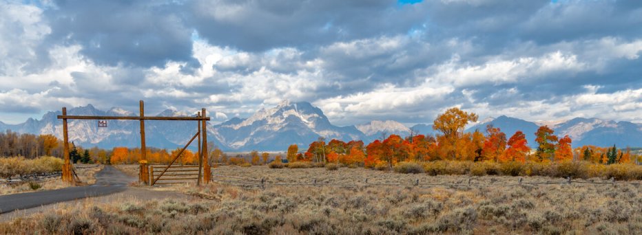 The Yellowstone Effect