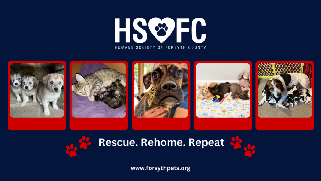 Humane Society of Forsyth County